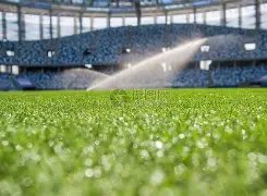 铜梁龙腾跃,四年,重庆足球重,南宫28NG娱乐官网,南宫28NG娱乐品牌,南宫28NG娱乐精彩,南宫28NG娱乐